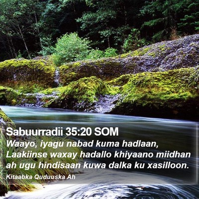 Sabuurradii 35:20 SOM Bible Verse Image