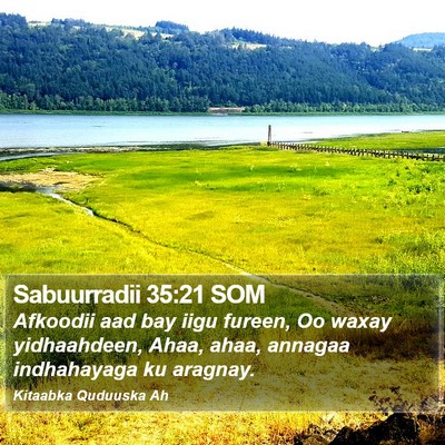 Sabuurradii 35:21 SOM Bible Verse Image