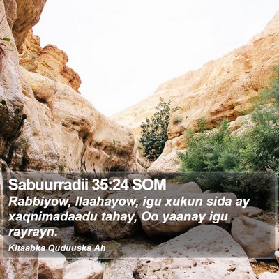 Sabuurradii 35:24 SOM Bible Verse Image