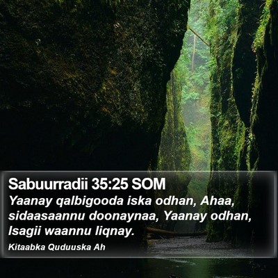 Sabuurradii 35:25 SOM Bible Verse Image
