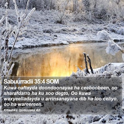 Sabuurradii 35:4 SOM Bible Verse Image