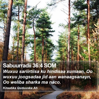 Sabuurradii 36:4 SOM Bible Verse Image