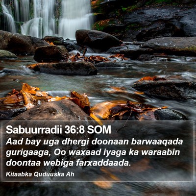 Sabuurradii 36:8 SOM Bible Verse Image