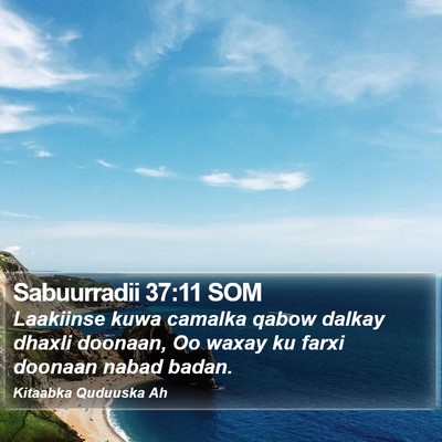 Sabuurradii 37:11 SOM Bible Verse Image