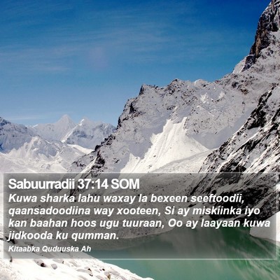 Sabuurradii 37:14 SOM Bible Verse Image