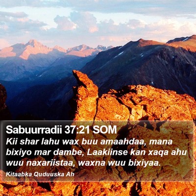 Sabuurradii 37:21 SOM Bible Verse Image