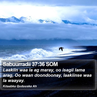 Sabuurradii 37:36 SOM Bible Verse Image