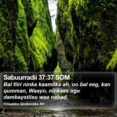 Sabuurradii 37:37 SOM Bible Verse Image