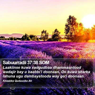 Sabuurradii 37:38 SOM Bible Verse Image