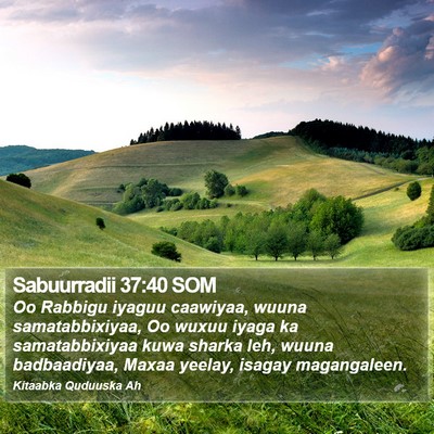 Sabuurradii 37:40 SOM Bible Verse Image