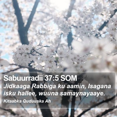 Sabuurradii 37:5 SOM Bible Verse Image
