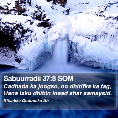 Sabuurradii 37:8 SOM Bible Verse Image