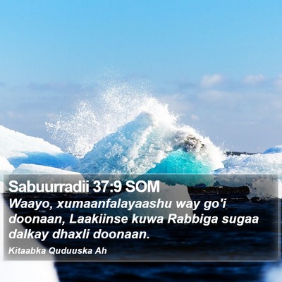 Sabuurradii 37:9 SOM Bible Verse Image
