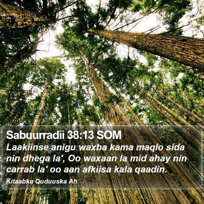 Sabuurradii 38:13 SOM Bible Verse Image