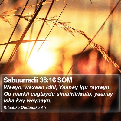 Sabuurradii 38:16 SOM Bible Verse Image