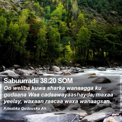 Sabuurradii 38:20 SOM Bible Verse Image