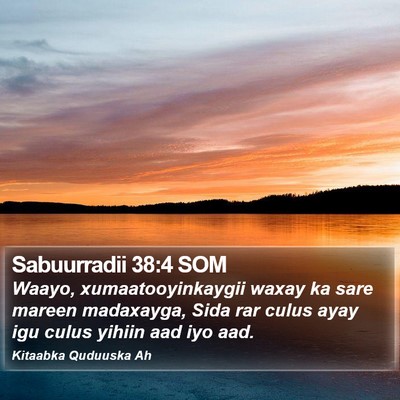 Sabuurradii 38:4 SOM Bible Verse Image