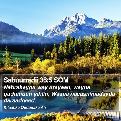Sabuurradii 38:5 SOM Bible Verse Image