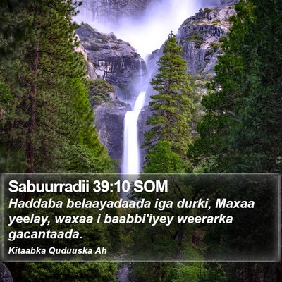 Sabuurradii 39:10 SOM Bible Verse Image