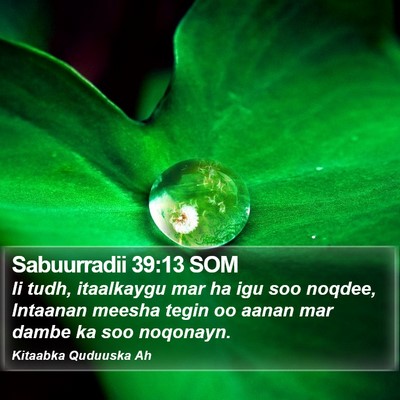 Sabuurradii 39:13 SOM Bible Verse Image