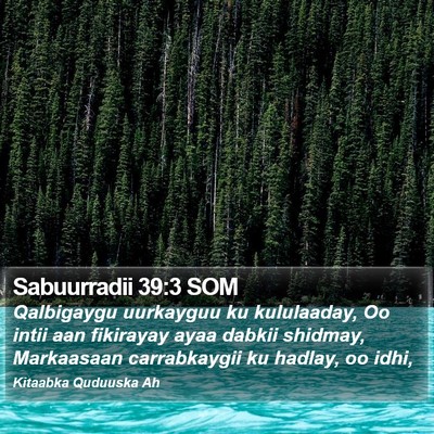 Sabuurradii 39:3 SOM Bible Verse Image