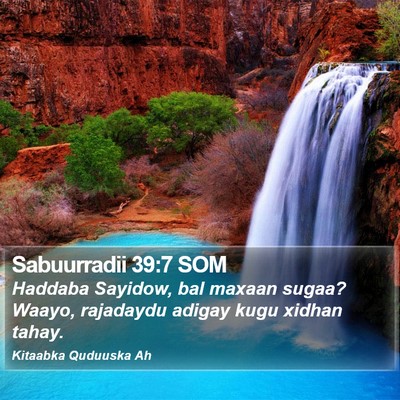 Sabuurradii 39:7 SOM Bible Verse Image