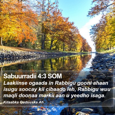 Sabuurradii 4:3 SOM Bible Verse Image
