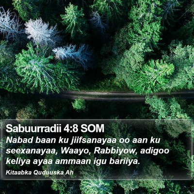 Sabuurradii 4:8 SOM Bible Verse Image