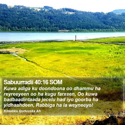 Sabuurradii 40:16 SOM Bible Verse Image