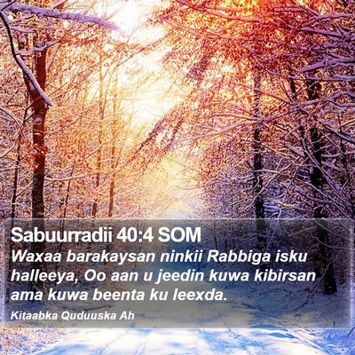 Sabuurradii 40:4 SOM Bible Verse Image