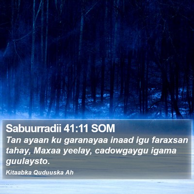 Sabuurradii 41:11 SOM Bible Verse Image