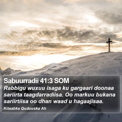 Sabuurradii 41:3 SOM Bible Verse Image
