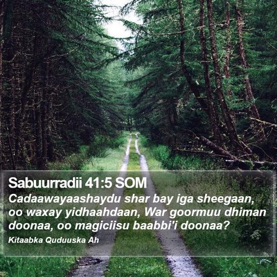 Sabuurradii 41:5 SOM Bible Verse Image