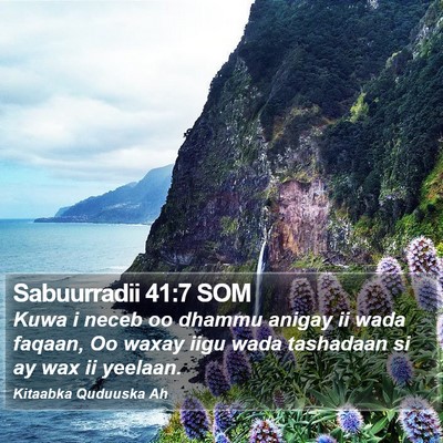 Sabuurradii 41:7 SOM Bible Verse Image