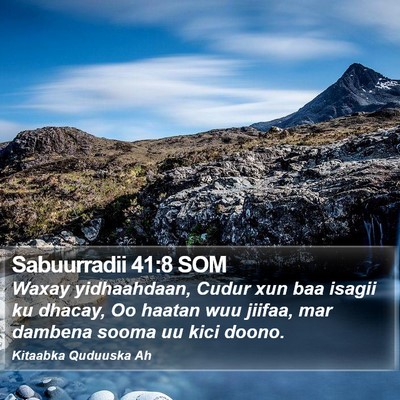 Sabuurradii 41:8 SOM Bible Verse Image