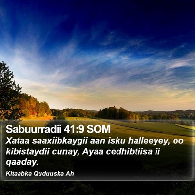 Sabuurradii 41:9 SOM Bible Verse Image