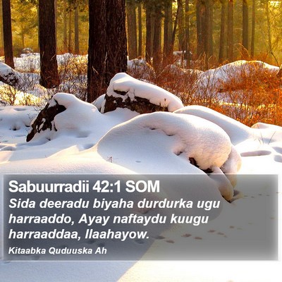 Sabuurradii 42:1 SOM Bible Verse Image