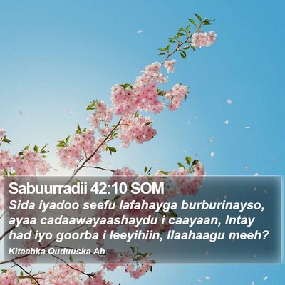 Sabuurradii 42:10 SOM Bible Verse Image