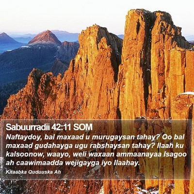 Sabuurradii 42:11 SOM Bible Verse Image