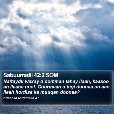 Sabuurradii 42:2 SOM Bible Verse Image