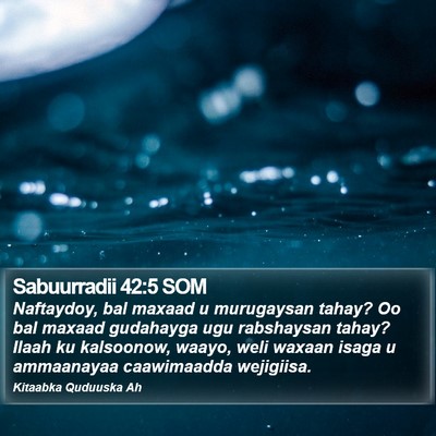 Sabuurradii 42:5 SOM Bible Verse Image