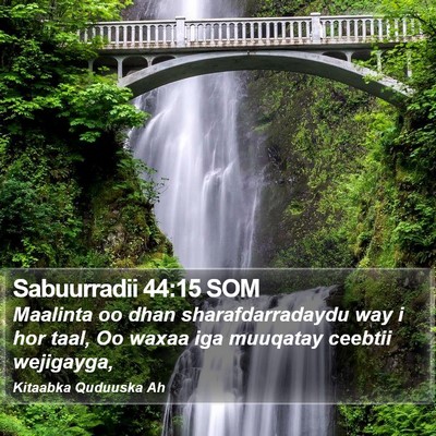 Sabuurradii 44:15 SOM Bible Verse Image