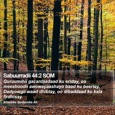 Sabuurradii 44:2 SOM Bible Verse Image