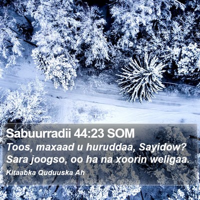 Sabuurradii 44:23 SOM Bible Verse Image