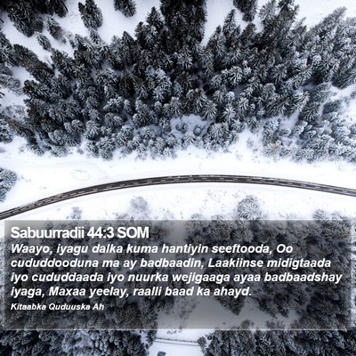 Sabuurradii 44:3 SOM Bible Verse Image