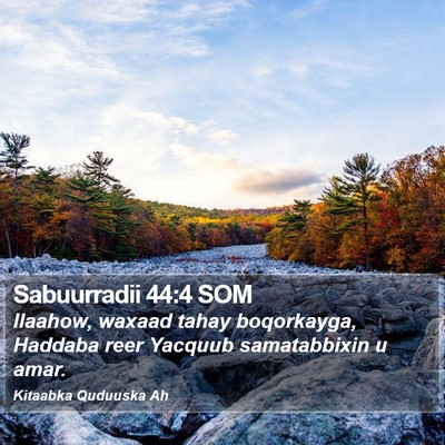 Sabuurradii 44:4 SOM Bible Verse Image