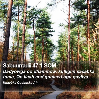 Sabuurradii 47:1 SOM Bible Verse Image