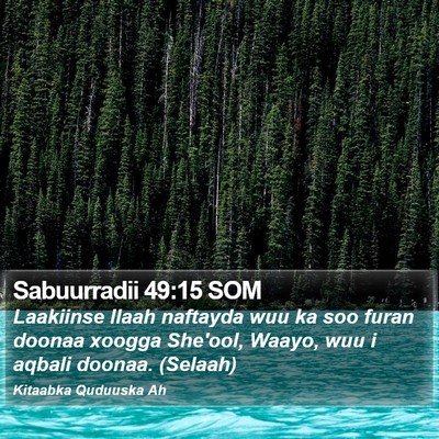 Sabuurradii 49:15 SOM Bible Verse Image