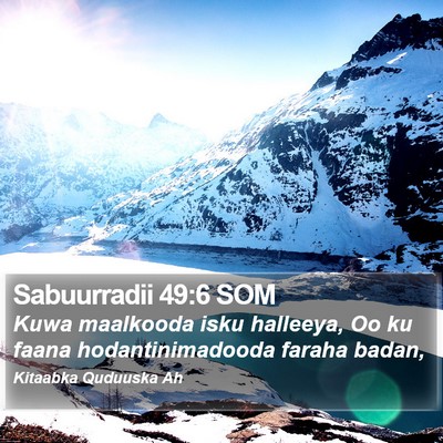 Sabuurradii 49:6 SOM Bible Verse Image