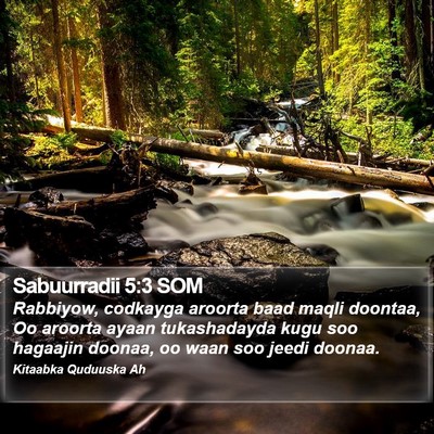 Sabuurradii 5:3 SOM Bible Verse Image